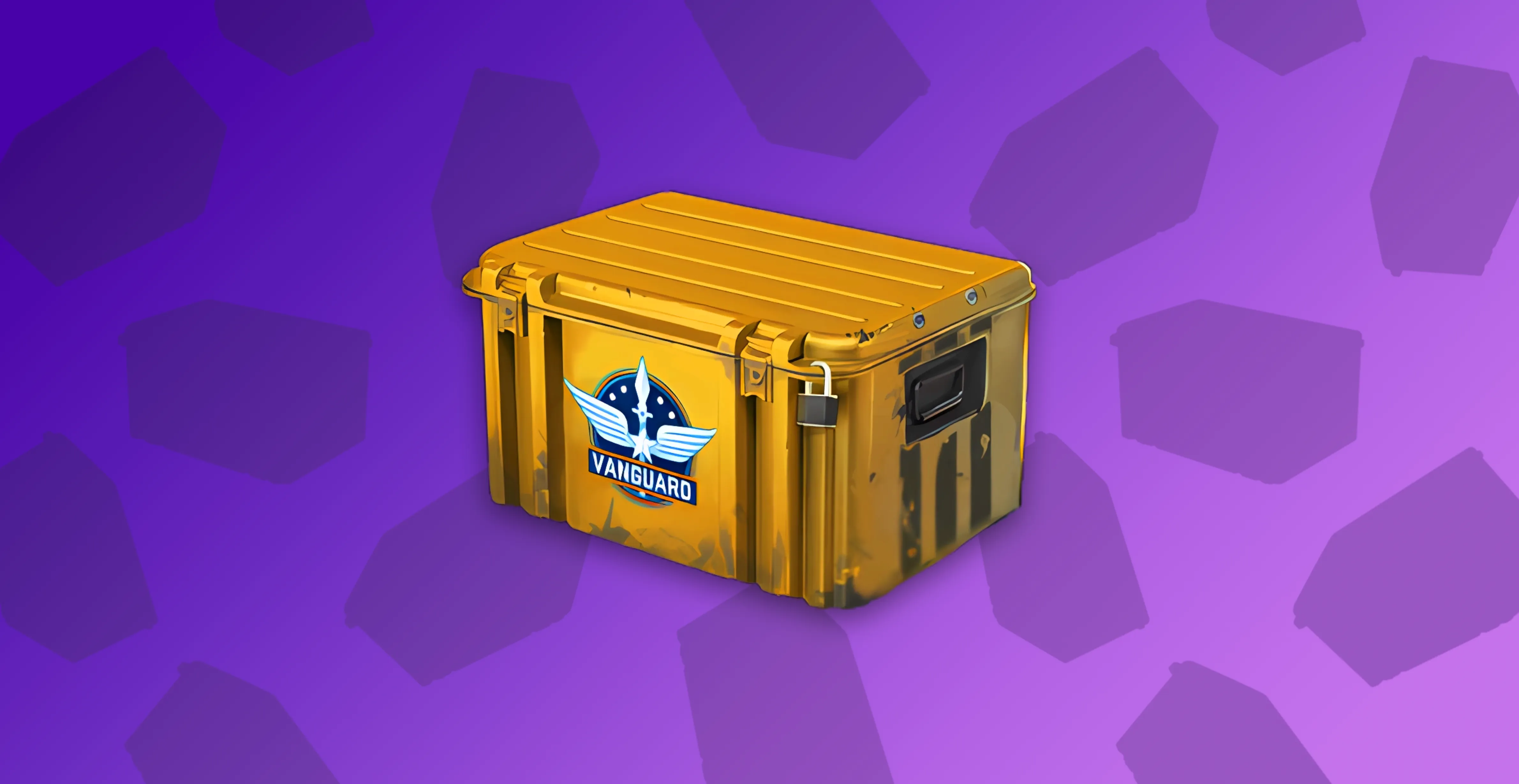 Operation Vanguard Weapon Case